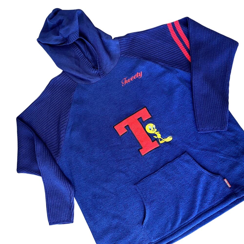 Vintage Looney Tunes Women's Navy Embroidered Tweety Bird Hooded Sweater 2X